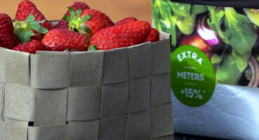 handmade grey paper bag basket filled with fresh strawberries