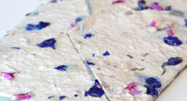 Handmade flower paper with colorful dried petals on a white background