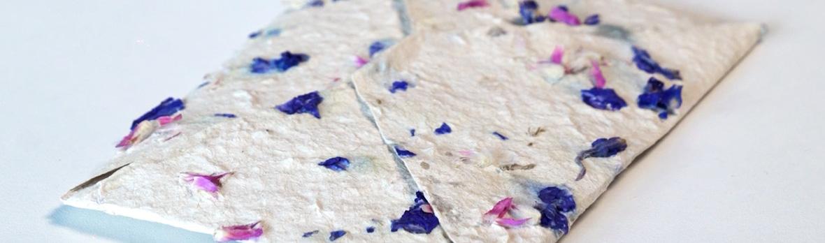 Handmade flower paper with colorful dried petals on a white background